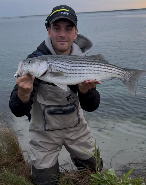 Spring Striped Bass Fishing