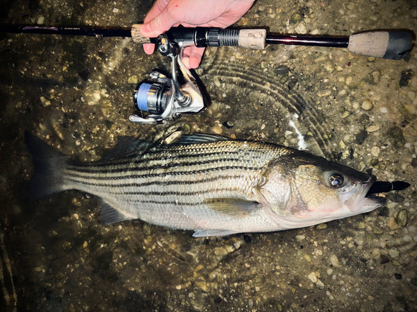 Why Dark Colors Dominate Night Fishing