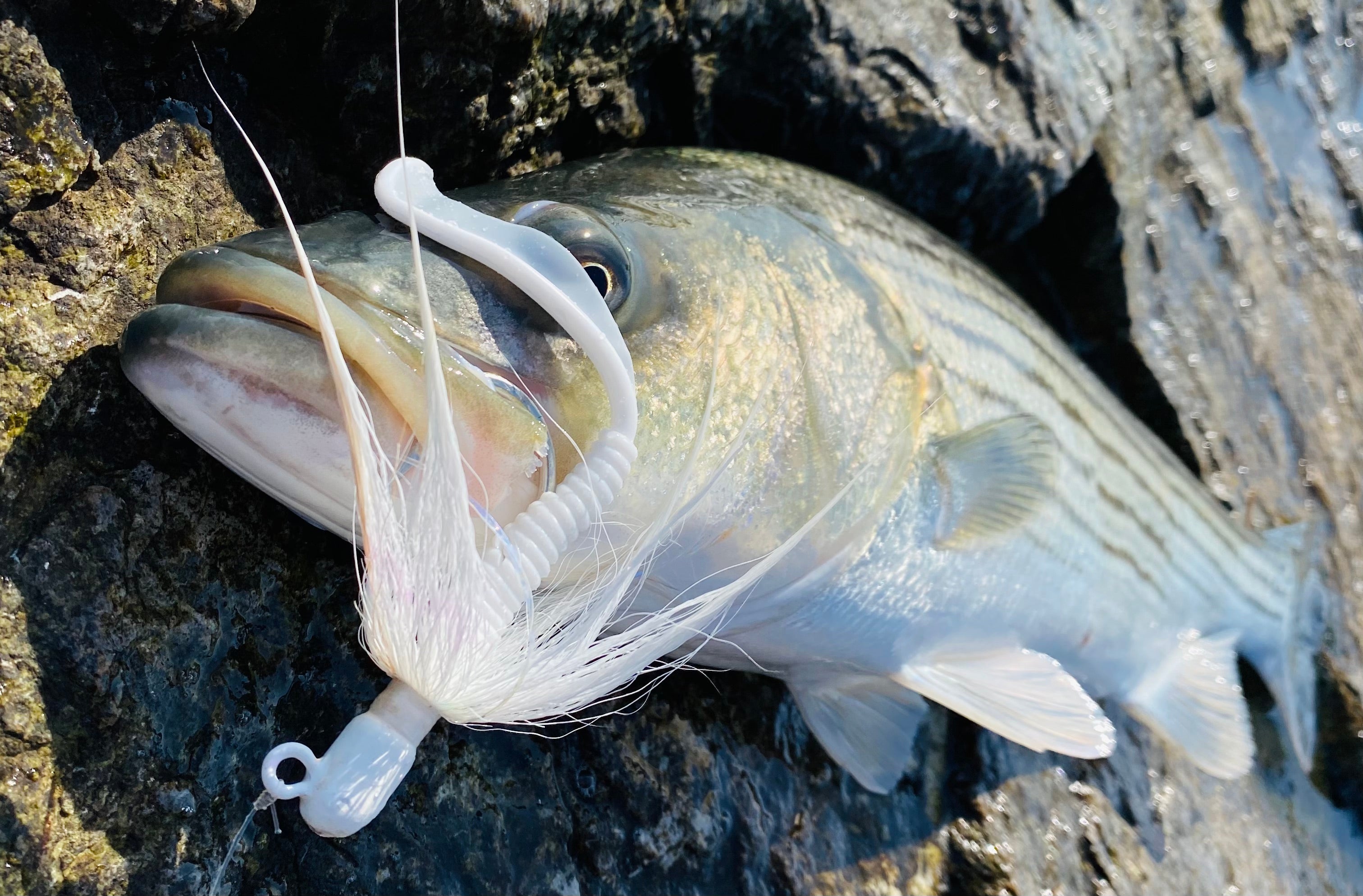 Stack Tackle Stack Tackle