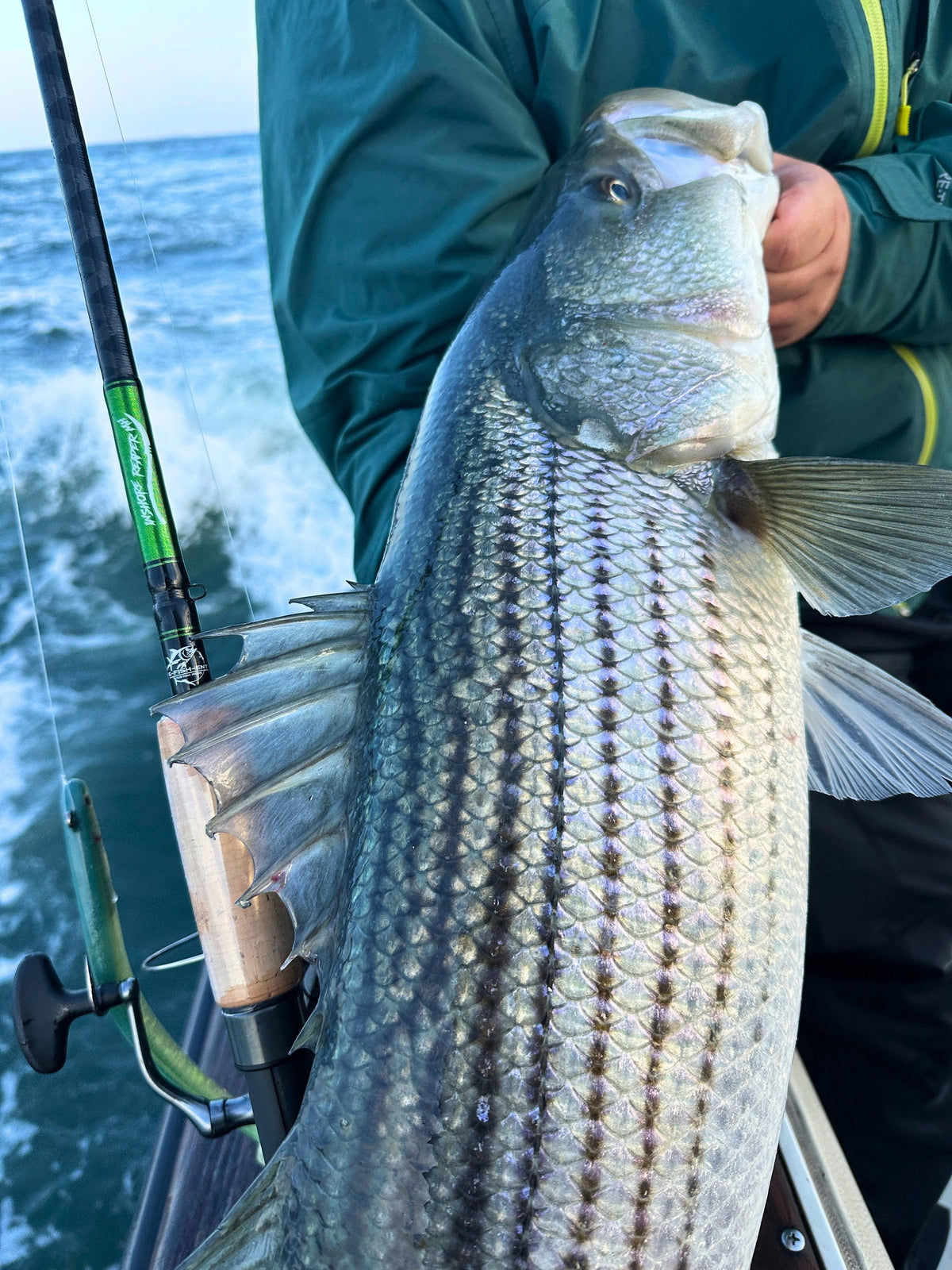 Inshore Reaper - Stock